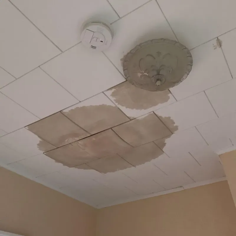 Ceiling Water Damage Repair in Haviland, NY